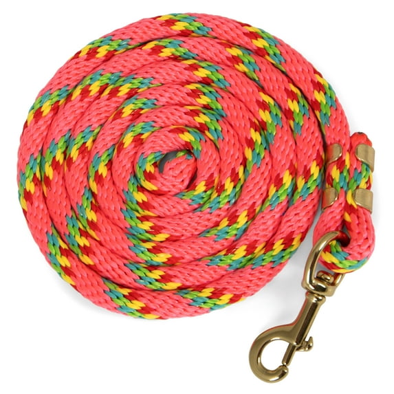 Jeffers Equine Nylon Horse Lead Rope with Brass Snap, 5/8 x 8" - Pink