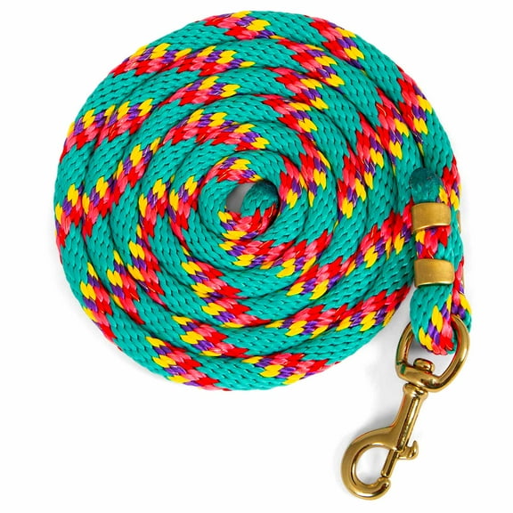Jeffers Equine Nylon Horse Lead Rope with Brass Snap, 5/8 x 8" - Turquoise