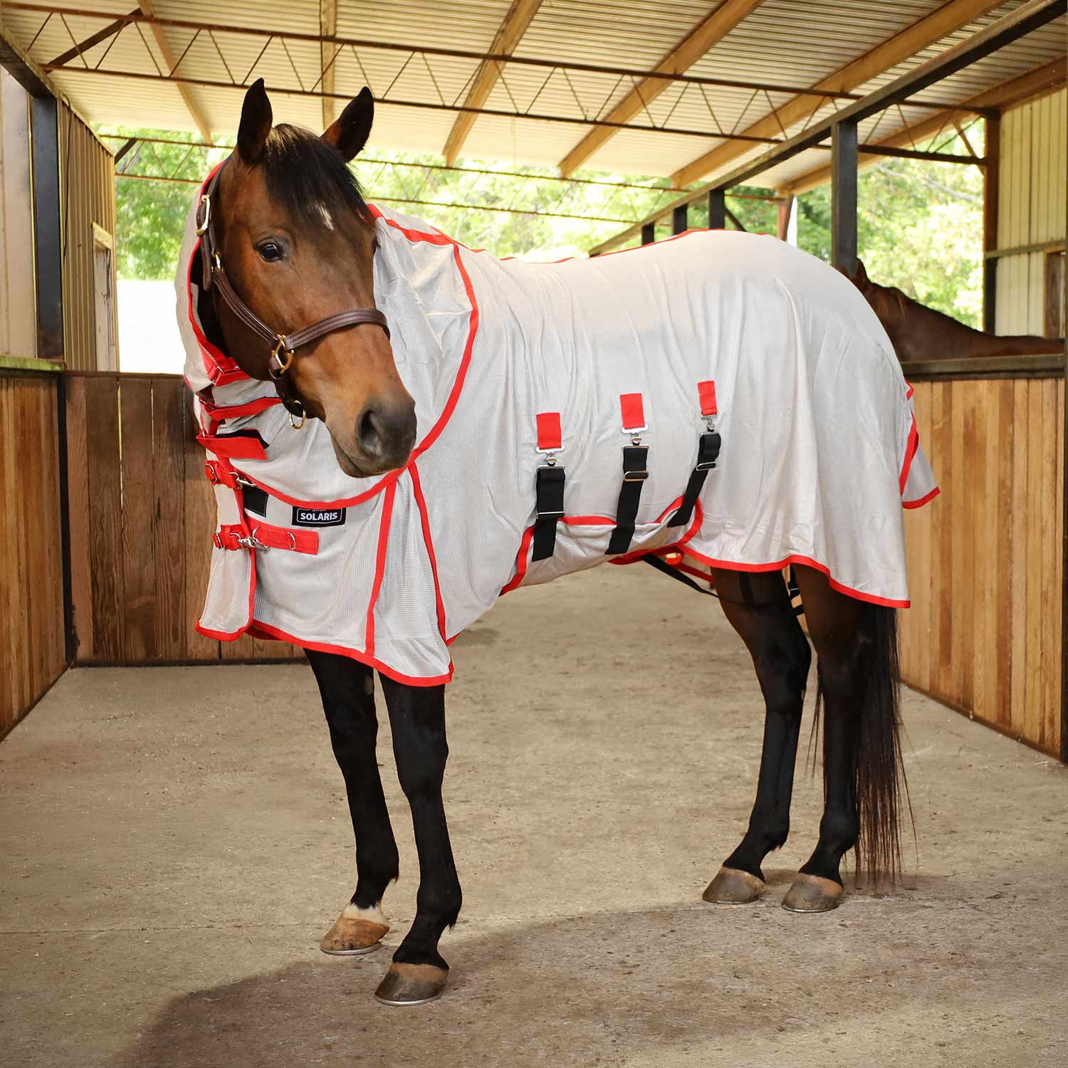 Horse Mesh Fly Sheet With Detachable Neck Cover - Lightweight Breathable Protection White 44