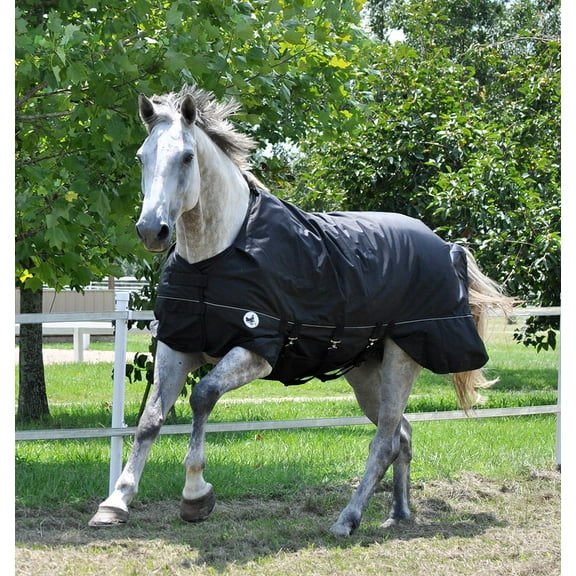 Jeffers Equine Supreme Plus Horse Turnout Blanket, Black, 78" – Medium Weight 1680D Waterproof, 240g Insulation, Safe, Breathable, Weather Protection - Adjustable Surcingle Straps, Reflective Trim