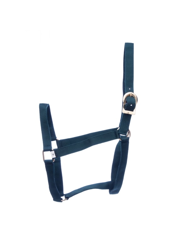Equine Turnout Nylon Halter for Horses, Dark Green - 2 Ply Durable Nylon Webbing, Adjustable Headcollar w/ Metal Hardware, Equestrian Horse Halter, Stable & Ranch Use - Weanling 250-400 lbs