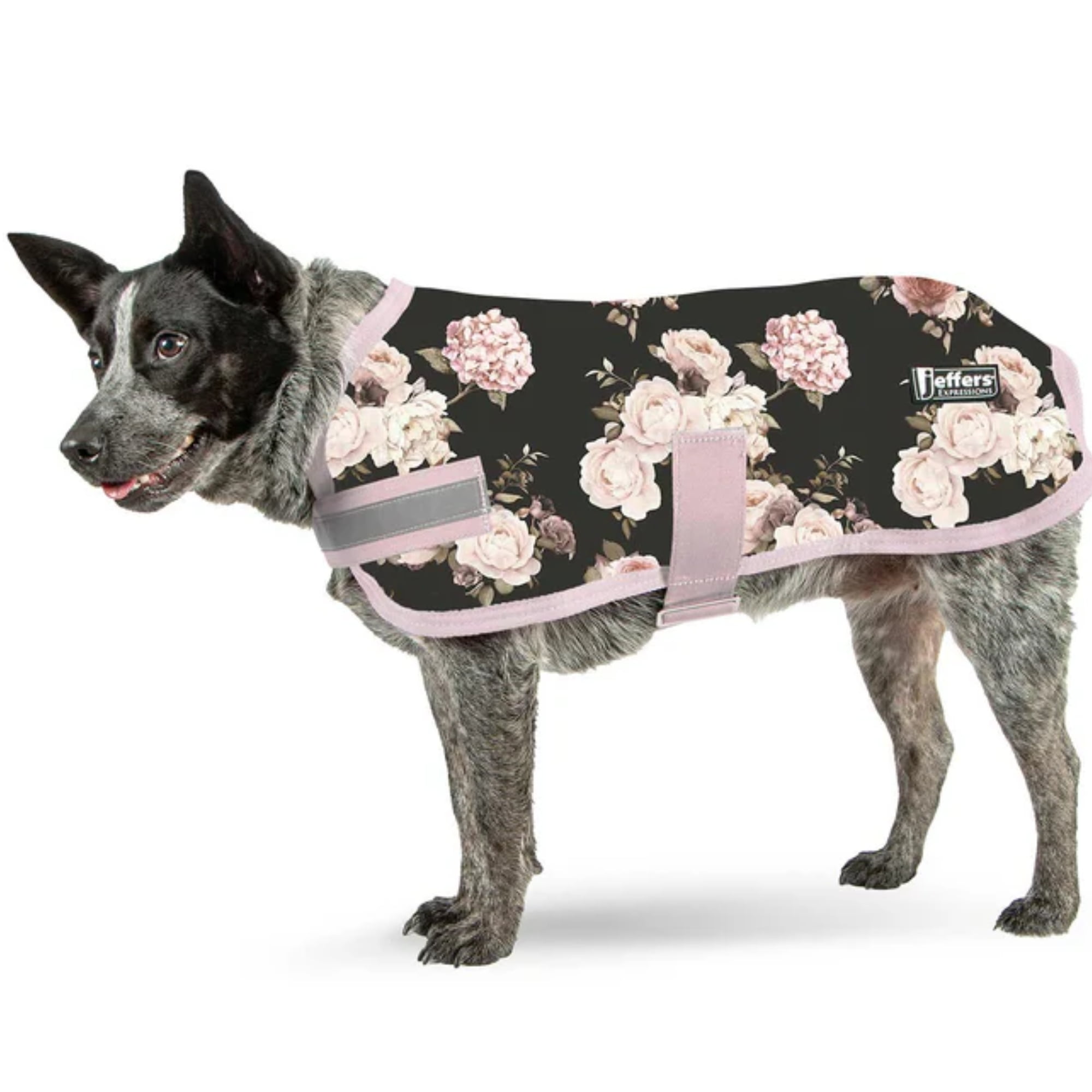 Jeffers Expression Dog Blanket, Rose Garden, 24" 600D Water proof