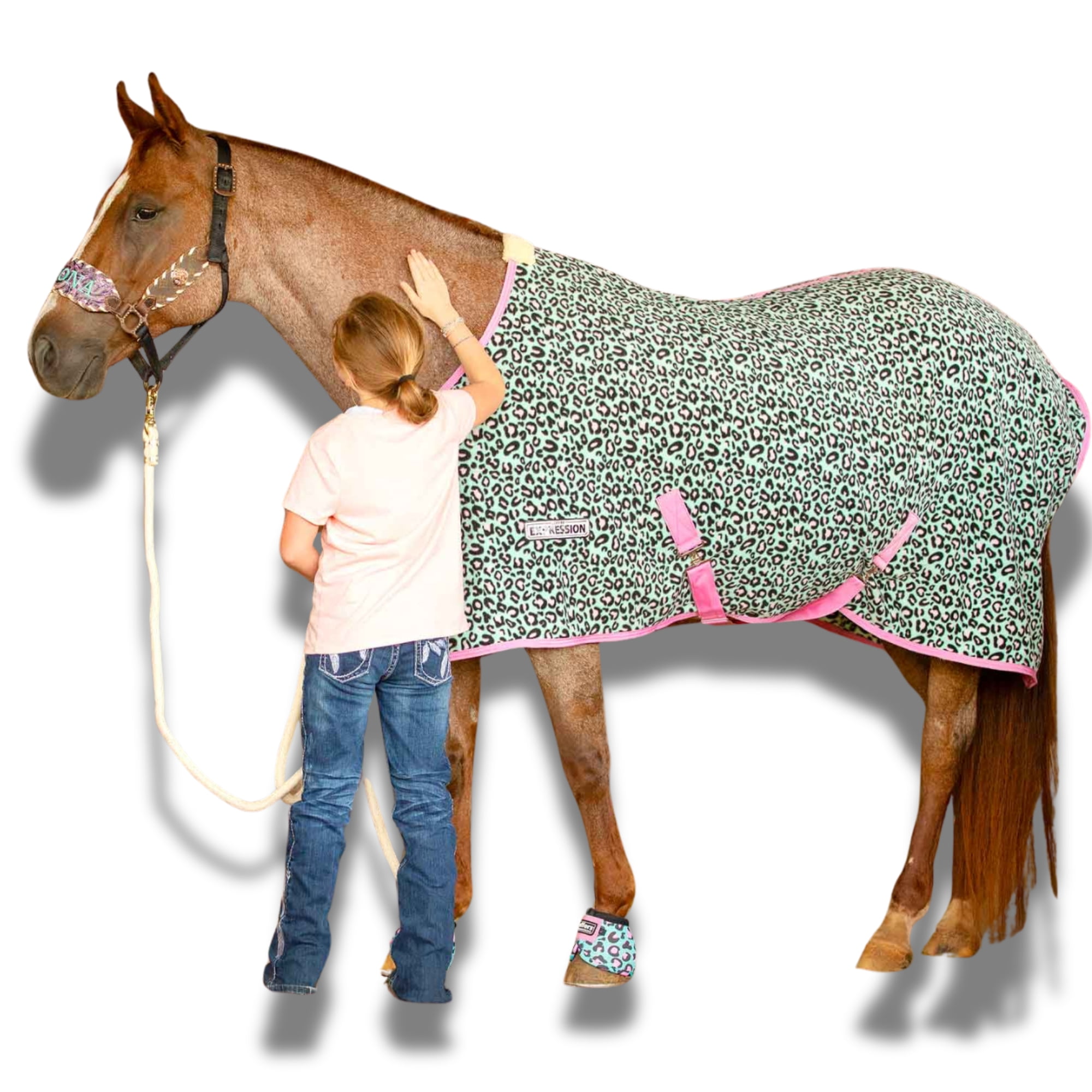 Jeffers Elite Fleece Cooler Blanket For Horses - Lambert Vet Supplies