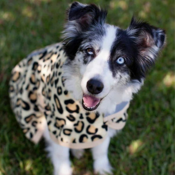 Jeffers Expression Fleece Dog Coat, 18"– Soft Warm Cozy Jacket, Moisture Absorbing Pet Sweater, Reflective Safety Clothes for After Bath, Outdoor Activities, All Year Apparel - Electric Cheetah