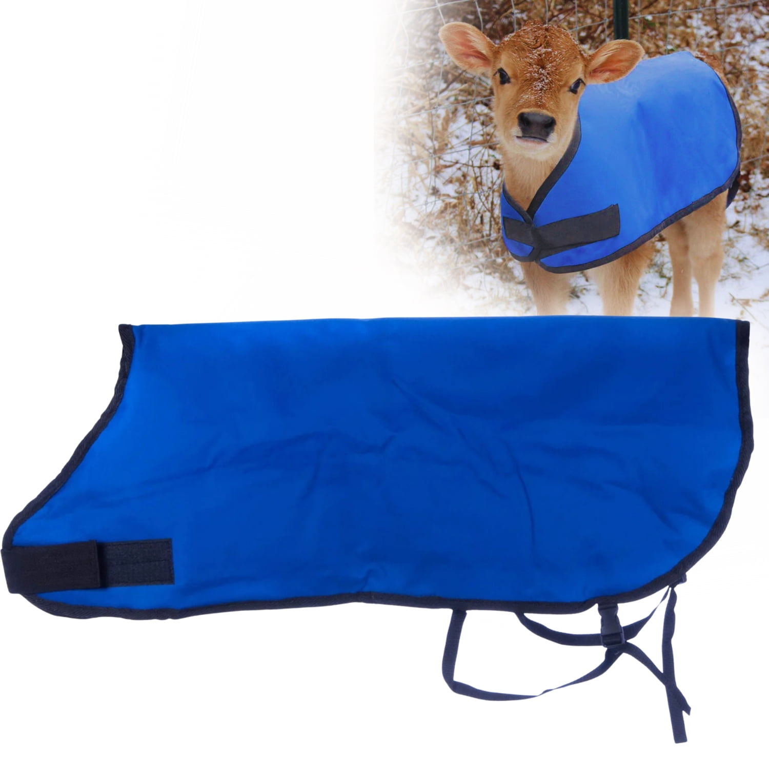 Jeffers Livestock Water Resistant Insulated Calf Blanket 26" 200G Polyfill Quilted Winter Calf Jacket with Adjustable Straps Durable Cold Weather Calf Cover Farm Supplies, Blue 1 Pack