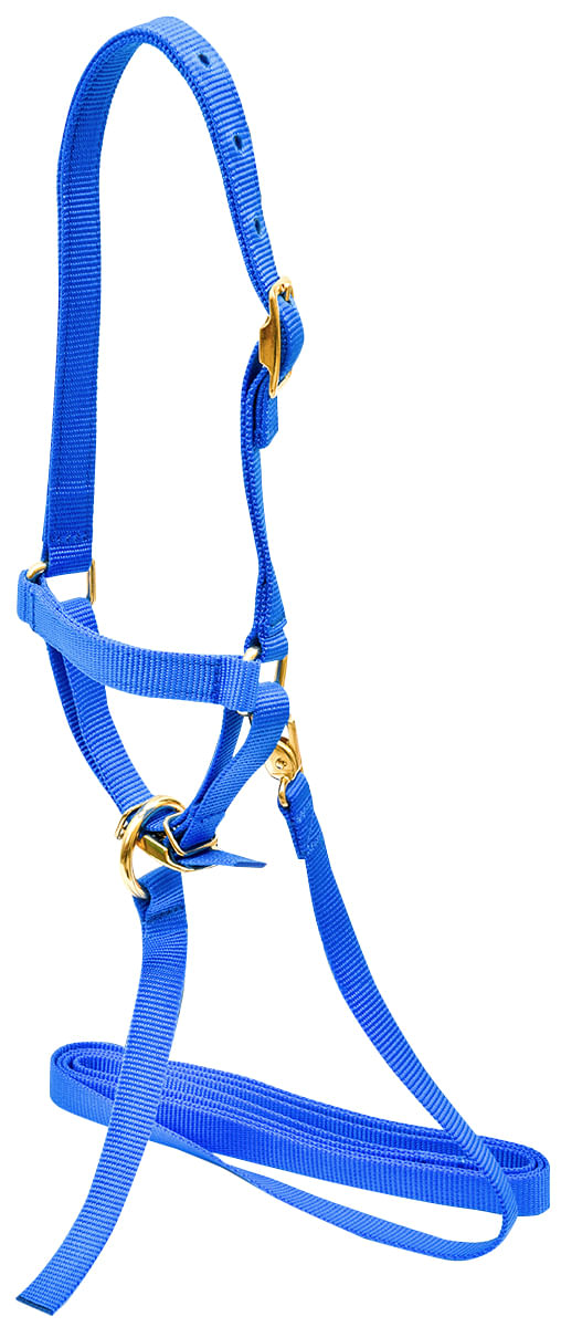 Sheep Rope Halter Jeffers Livestock Nylon Sheep Halter & Lead Set – Brass Plated ¾ ...