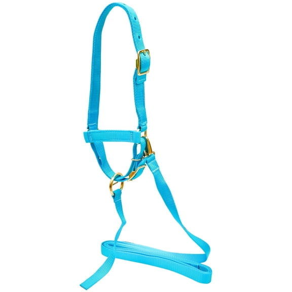 Jeffers Livestock Nylon Sheep Halter & Lead Set – Brass Plated ¾" Adjustable Halter with 6ft Rope for Sheep, Goats, Lambs – Farm, Ranch, Barn, Stable, Milking, Show, Training Gear - Turquoise