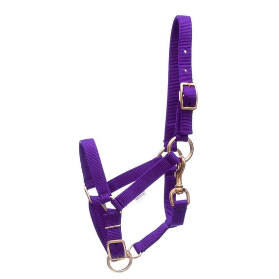 Jeffers Nylon 3/4" Miniature Horse Halter| Adult | Purple