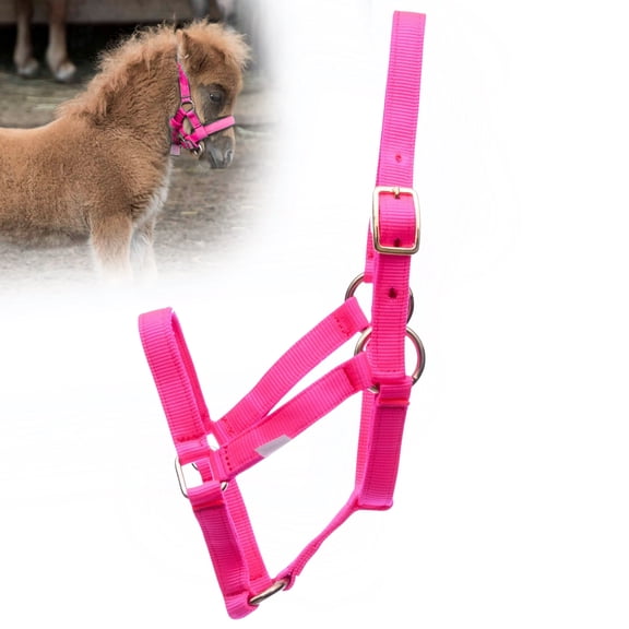Jeffers Nylon Adult Miniature Horse Halter| Adult | Under 300 lb | Hot Pink