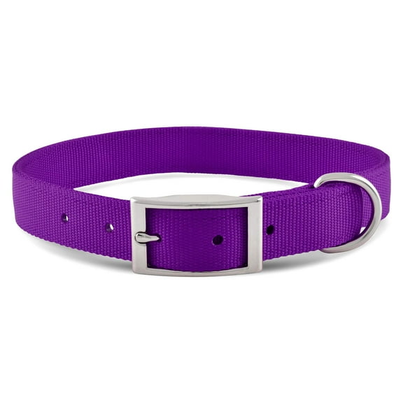Jeffers Pet Solid Nylon Dog Collars, Purple, 1"W x 16"L – Adjustable, Durable & Safe for Dogs, Lightweight & Double Ply Design, Stylish Pet Accessories - Perfect for Training, Walking & Tracker