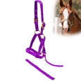 thumbnail image 1 of Jeffers Nylon Weanling Halter for Foals, Ponies, Mini Horses, Adjustable 3/4" 2-Ply Webbing, Brass Hardware, Lightweight – Purple, 1 of 5