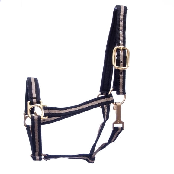 Jeffers Padded Halter with Snap | Black/Tan