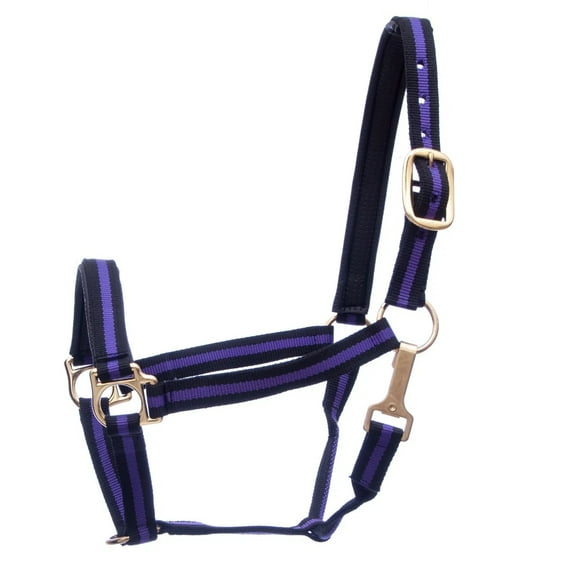 Jeffers Padded Halter with Snap | Purple/Black
