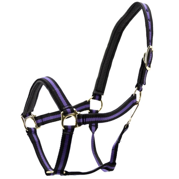 Jeffers Padded Halter with Snap | Purple/Black