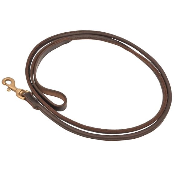 Jeffers 6FT Rolled Leather Dog Leash with Brass Hardware, Chestnut Brown Lead with Hand Strap, Durable Pet Leash for Medium & Large Dogs, Outdoor Walking & Training - 5/8"W x 6'L