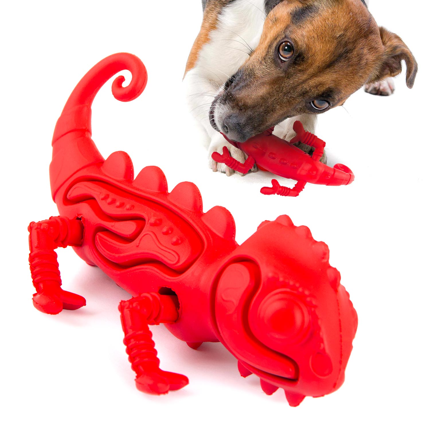 Jeffers Natural Rubber Dog Chew Toy, Chameleon Shape, Small, Red