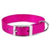 Jeffers Solid Web Nylon Dog Collar with Nickel Plated Hardware, 5/8"Wx12"L - Adjustable Durable Nylon Pet Collar for Small to Medium Dog, Perfect for Walking, T