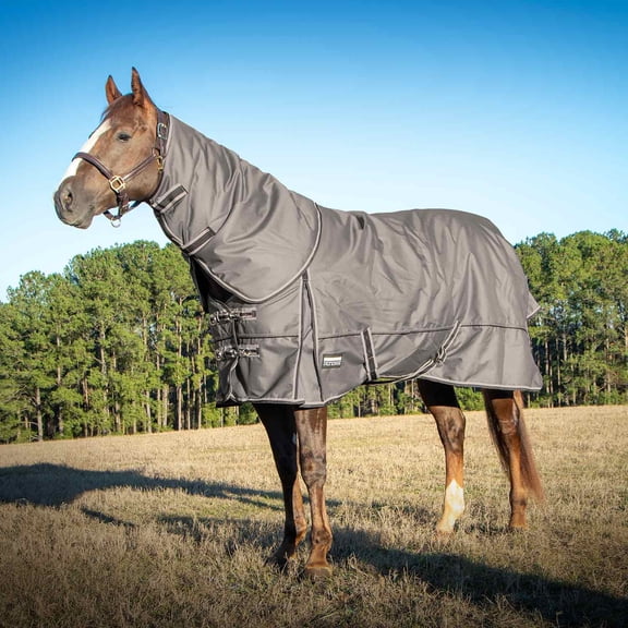 Jeffers Poplar Head Defense 1680 Denier Waterproof Turnout Blanket with Detachable Neck Cover 84", 240g Insulated Winter Horse Coat, Durable Outdoor Equestrian Rug, Adjustable Straps, Plymouth Brown