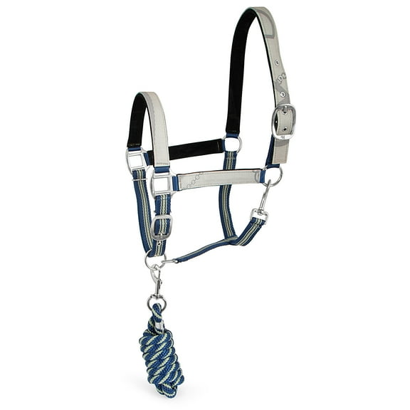 Jeffers Poplar Head Adjustable Padded Nylon Halter & Matching Lead Set with Quick Snap for Horses, Full Size Horse Halter with Padded Noseband & Crown, Equestrian Training Tack for Stable or Ranch Us