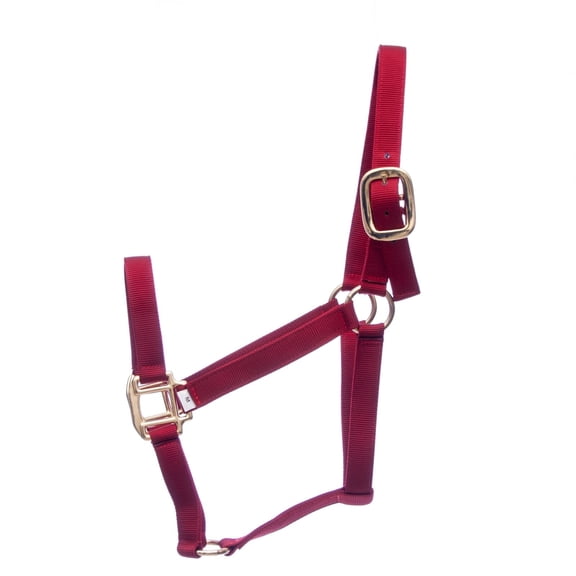 Jeffers Premium Nylon Horse Halters, 600-900 lb (3-ply, 1")