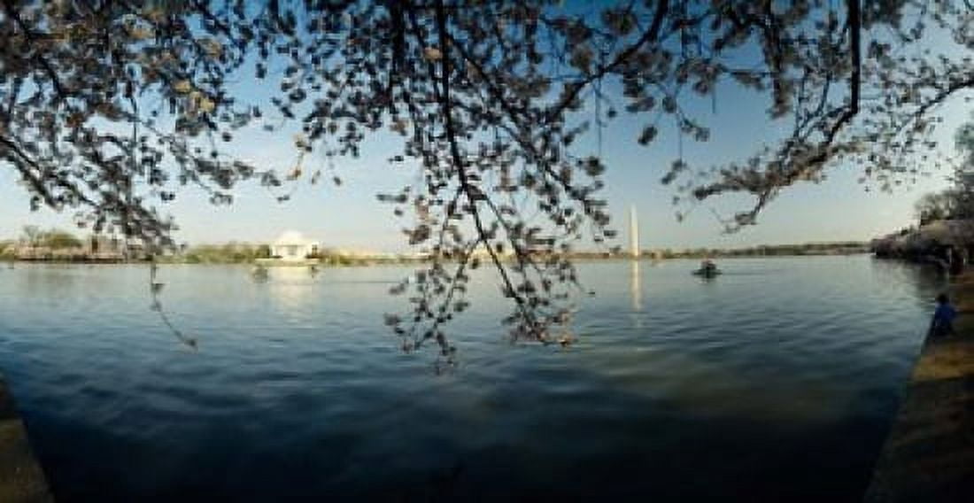 Jefferson Memorial Potomac River Washington DC Canvas Art - Panoramic Images (24 x 12)