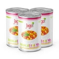 thumbnail image 1 of Jego Tropical Fruit Mix in Syrup, 14 oz (Pack of 3) | Pineapple, Papaya, Guava, Highland Papaya, Gluten Free, 1 of 9