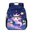 thumbnail image 1 of Jeiento Axolotl 13.5 Inch Kids Preschool Backpack for Toddler, Starry Sky Lightweight School Bag for 2-5 Year Old Girls, Bookbag with Pockets, 1 of 7
