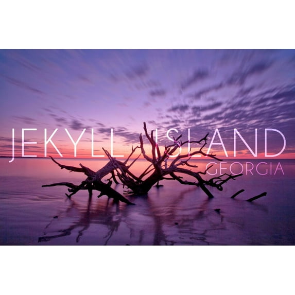 Jekyll Island, Georgia, Driftwood on Beach at Sunset (9x12 Wall Art Print, Home Decor)