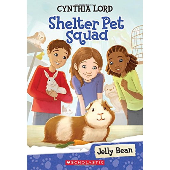Pre-Owned Jelly Bean (Shelter Pet Squad #1): Volume 1 (Paperback) 0545635977 9780545635974