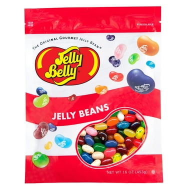 Jelly Belly 49-Assorted Jelly Beans - 1 Pound (16 Ounces) Resealable Bag - Straight from the Source