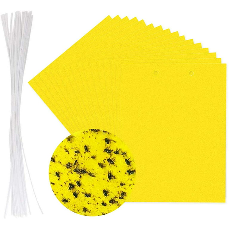 Jelly Comb 20 PCS Fly Paper Stickers,Yellow Sticky Fly Traps,Dual Sided  Sticky Traps,Plant Fly Catchers,Catcher Sticky Board for Flying Plant Insect