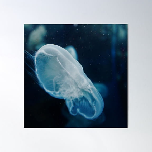 Jelly Dust Poster Wall Art, Modern Wall Decor For Living Room Bedroom, 17x17 UNFRAMED