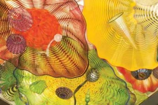 Jelly Fish I Canvas Art - Maureen Love (12 x 18)