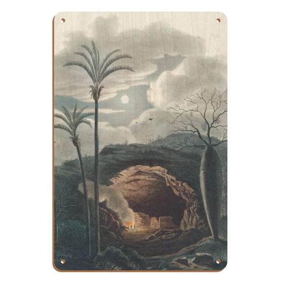 Jelly Palm Tree (Butia Capitata) - Formiga Brazil - Vintage Botanical Illustration by Carl Friedrich Philipp von Martius c.1820s - 8 x 12 inch Vintage Wood Art Sign