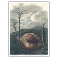 thumbnail image 1 of Jelly Palm Tree (Butia Capitata) - Formiga Brazil - Vintage Botanical Illustration by Carl Friedrich Philipp von Martius c.1820s - Master Art Print (Unframed) 9in x 12in, 1 of 4
