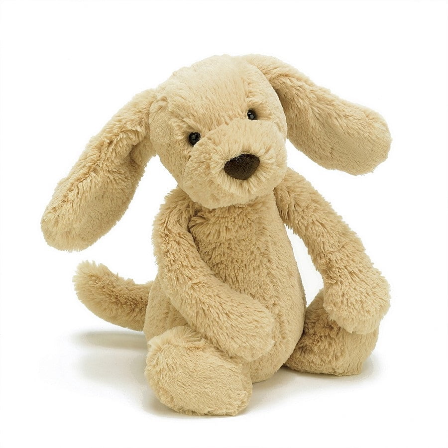 BASHFUL TOFFEE PUPPY MEDIUM