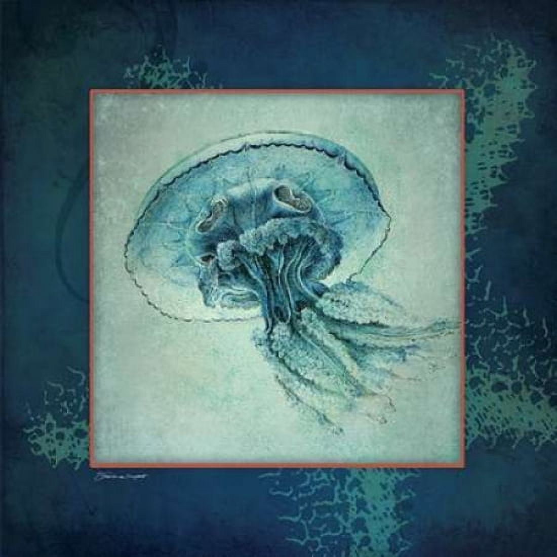 Jellyfish Canvas Art - Stephanie Marrott (24 x 24)