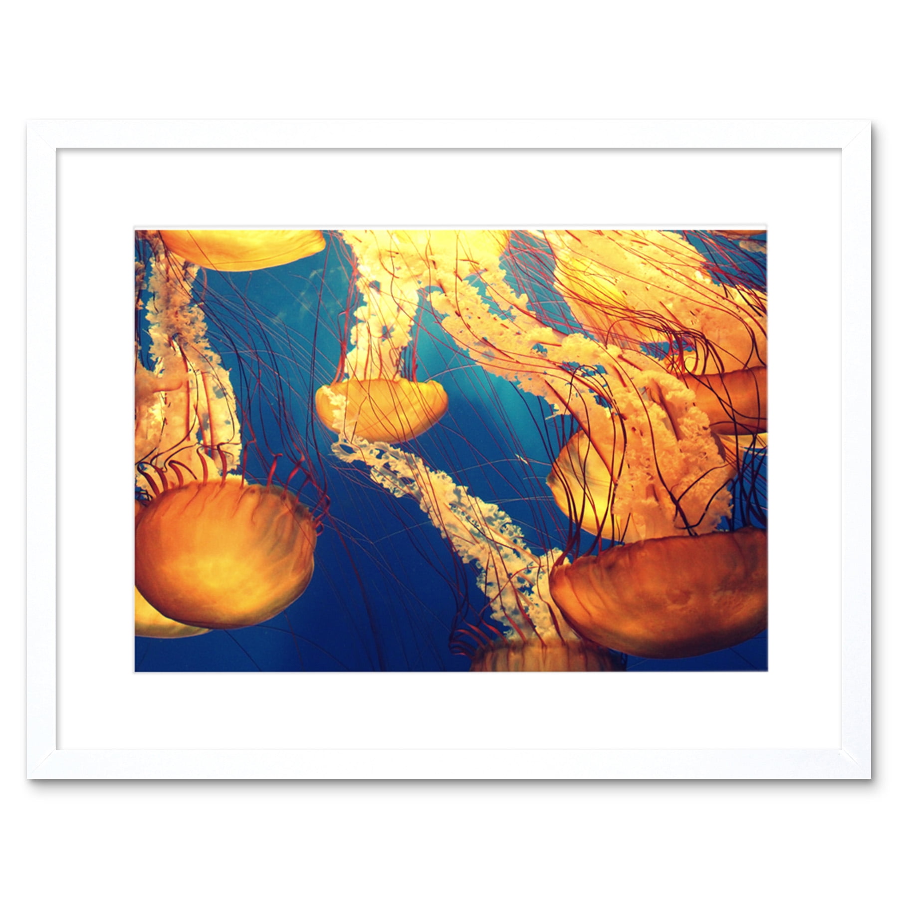 Ocean Animal Prints. Jellyfish, Lobster, Corals Wall Art
