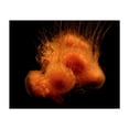 thumbnail image 1 of Jellyfish - Photography Marine Life Aquatic Abstract Surrealism Ocean Modern Art Minimalist Unframed Wall Art Print 36 x 48 inches, 1 of 6
