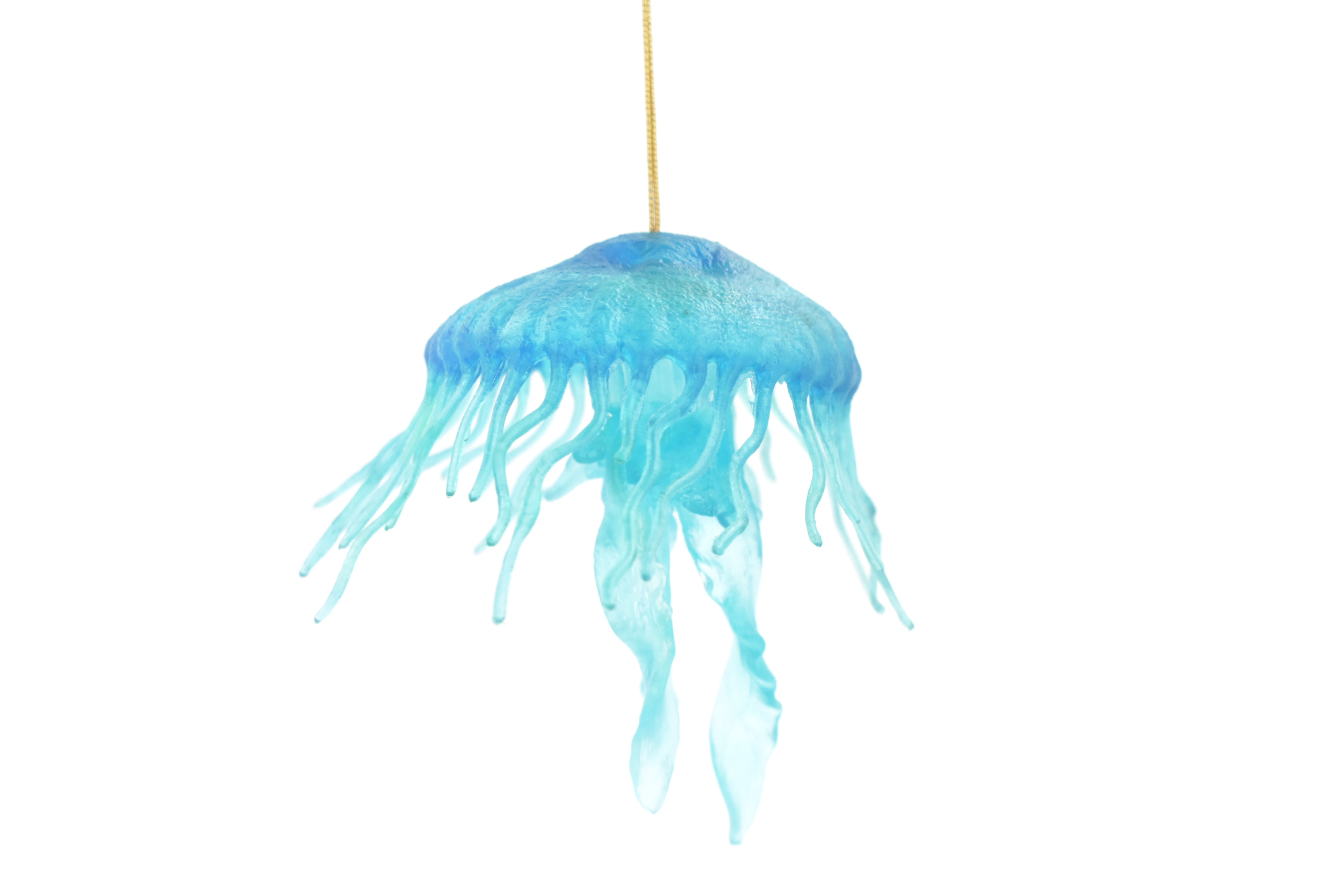 Jellyfish, Sea Jelly, Blue Rubber, Jellyfish Design, Educational