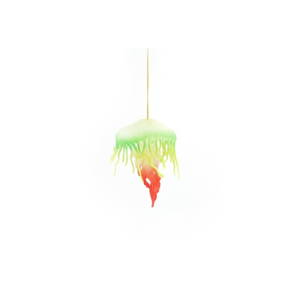 Jellyfish, Sea Jelly, Green and Red, Rubber, Hanging, Educational, Ornament, Lifelike, Model, Replica, Gift, 3 1/2" F3386 B106