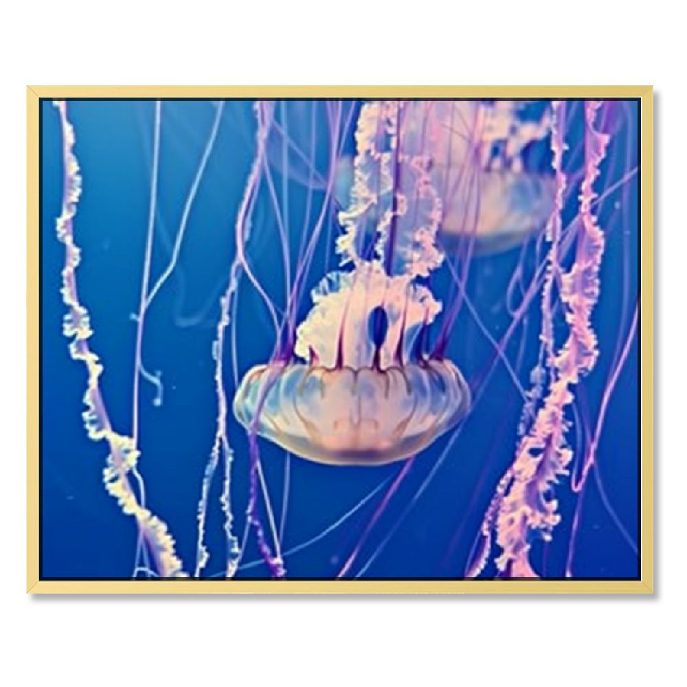 Jellyfish Wall Art with Poster Aesthetics Kids Room Wall Art Canvas ...