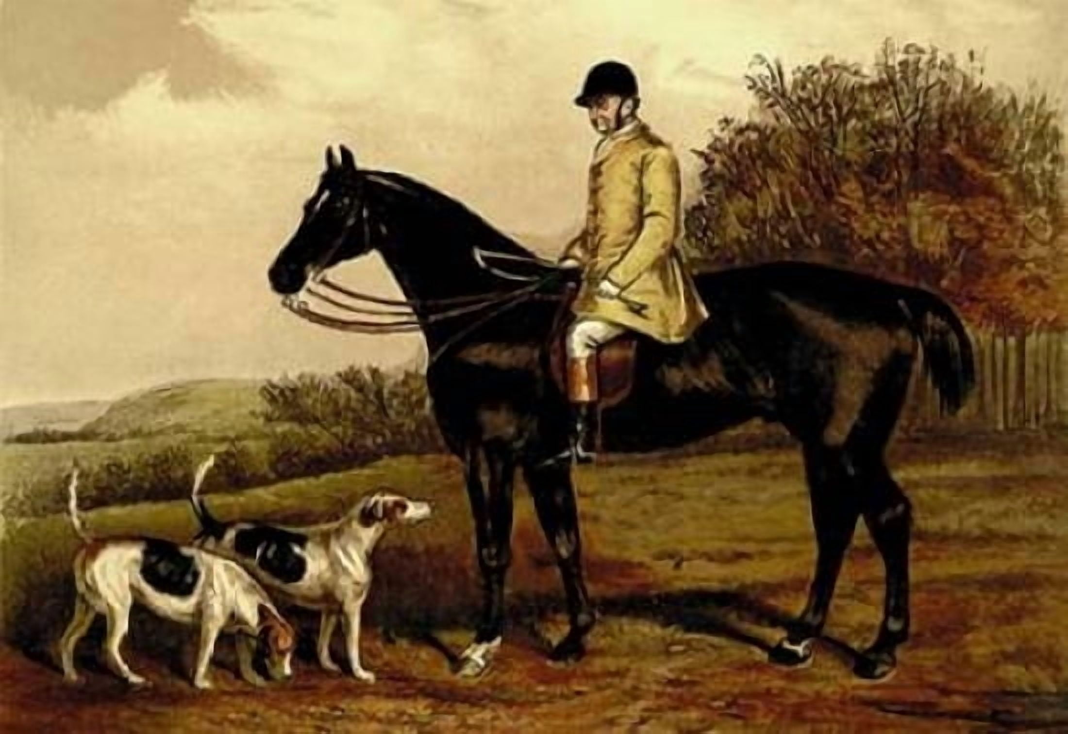 Jem Morgan 1900 Canvas Art - Samuel Sidney (24 x 36)