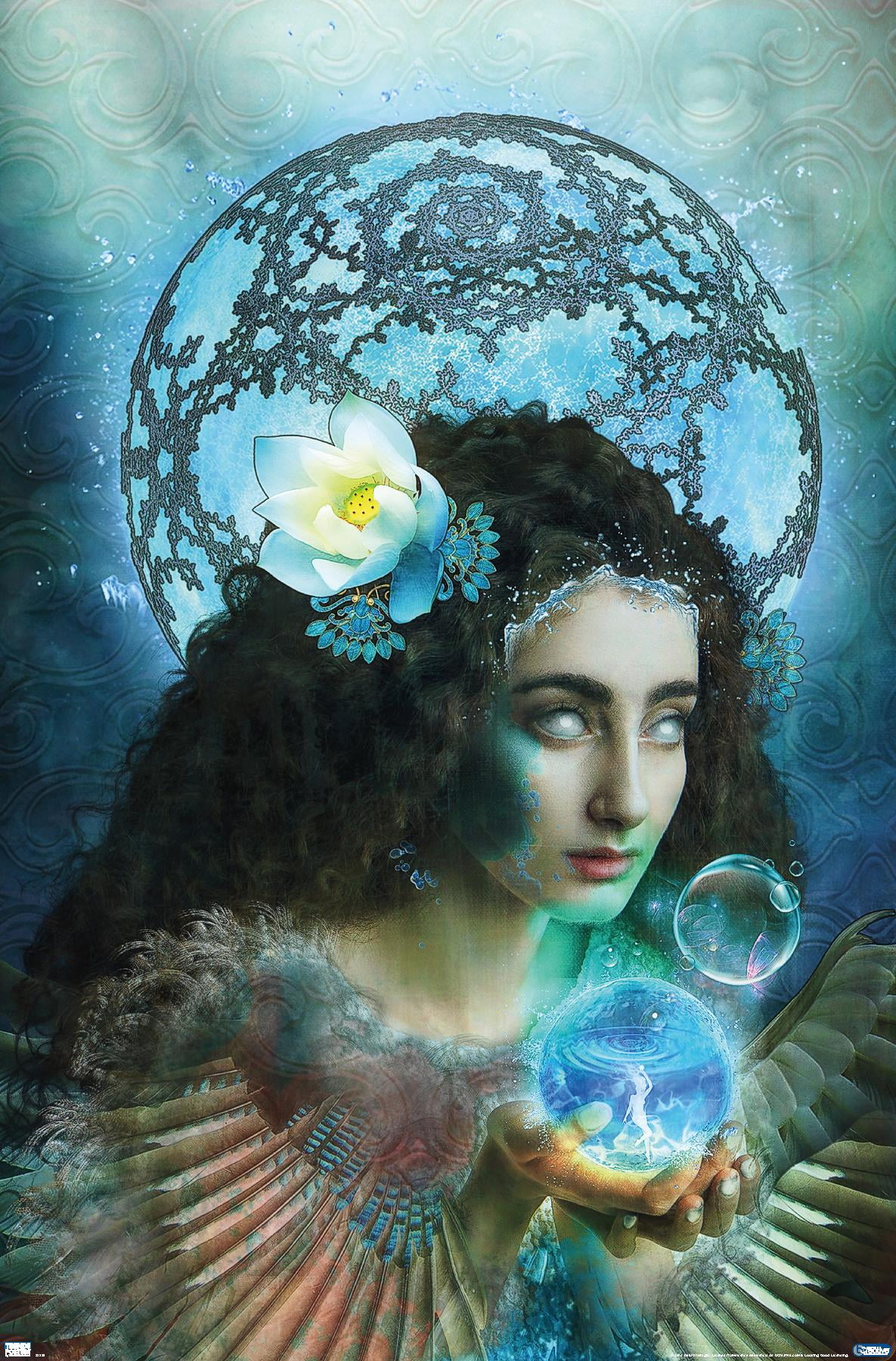 Jena DellaGrottaglia: Cosmic Zodiac - Aquarius Wall Poster, 14.725" x 22.375"
