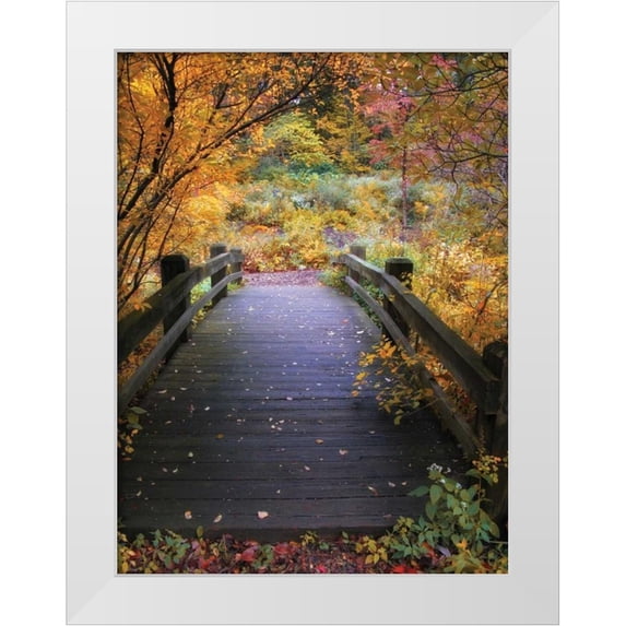 Jenney, Jessica 15x18 White Modern Wood Framed Museum Art Print Titled - Bridge Over Shallow Water