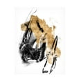 thumbnail image 1 of Jennifer Goldberger 'Black And Gold Splash IV' Canvas Art, 1 of 3