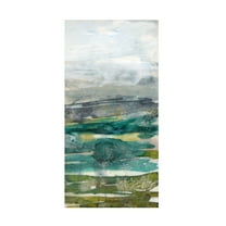 Jennifer Goldberger 'Crackled Marshland III' Canvas Art