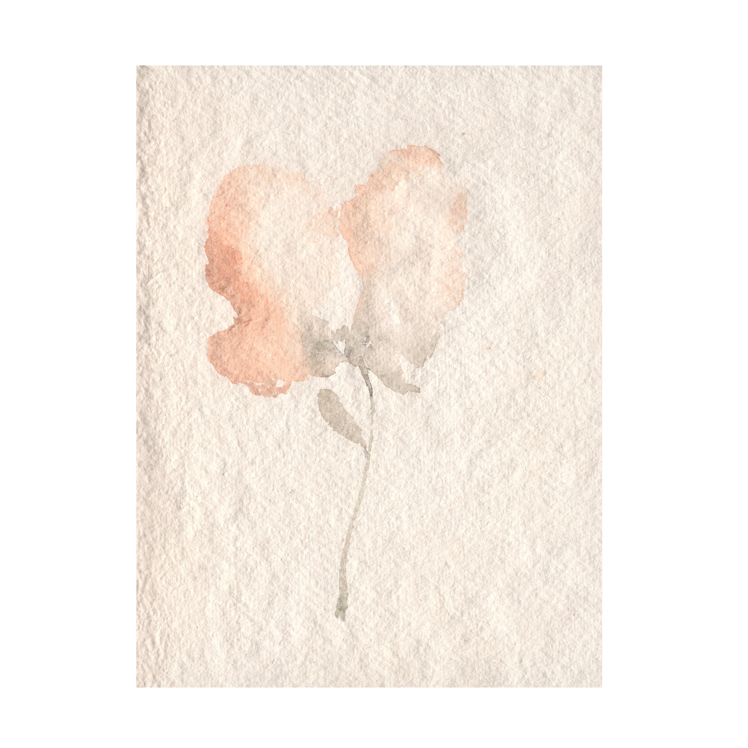 Jennifer Goldberger White and Tan Floral Canvas Art, 18" x 24"
