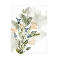 Jennifer Goldberger 'Flower Cluster I' Canvas Art