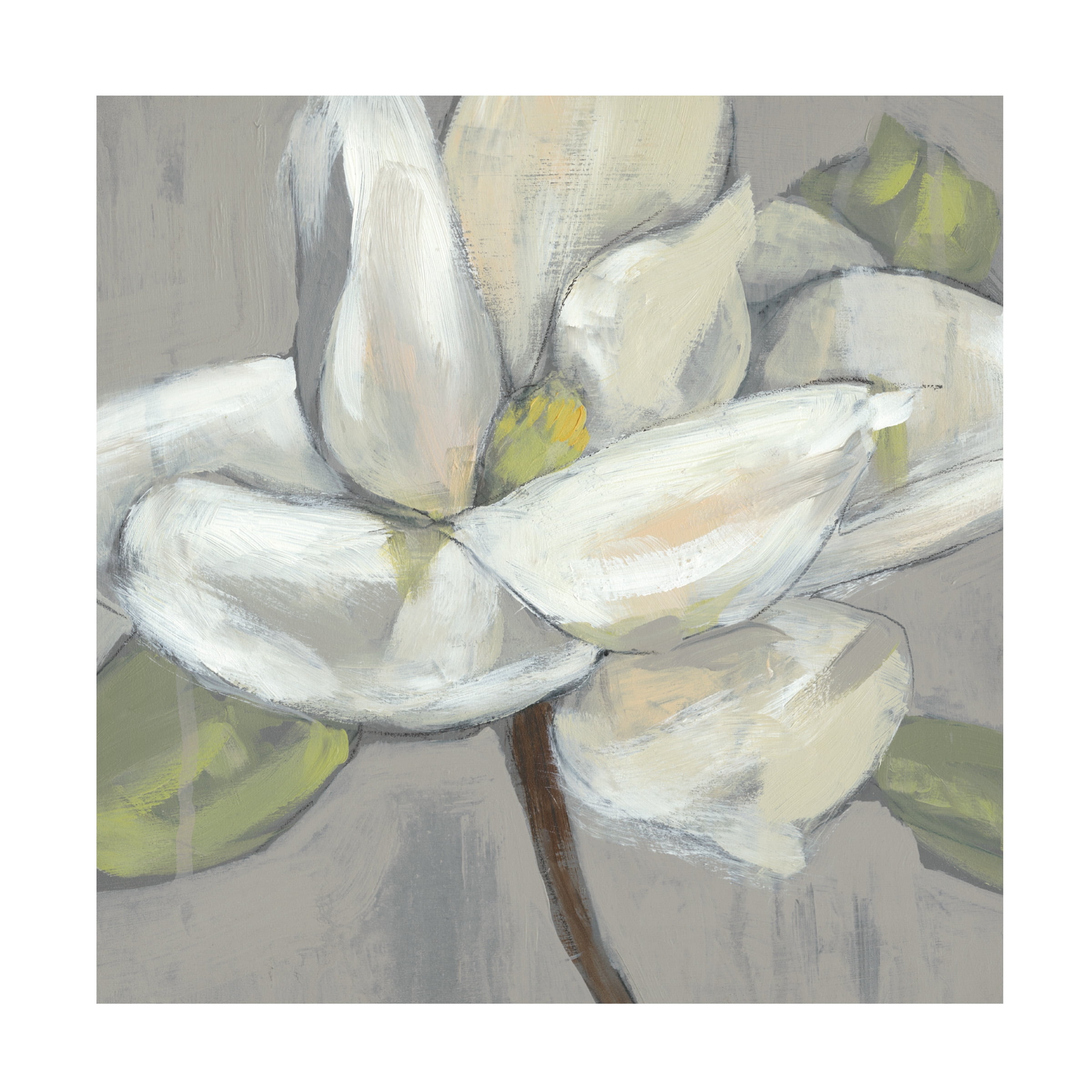 Jennifer Goldberger 'Magnolia on Grey' Canvas Art